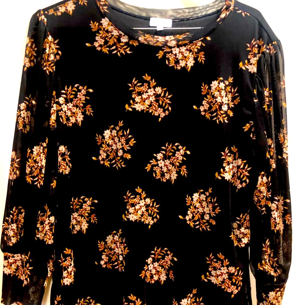 Women’s top